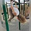fadfinds_
